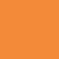 color-4 Color 4
